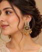 Rajvanshi Chandrika Drops